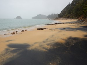 Nelson - Abel Tasman NP-031